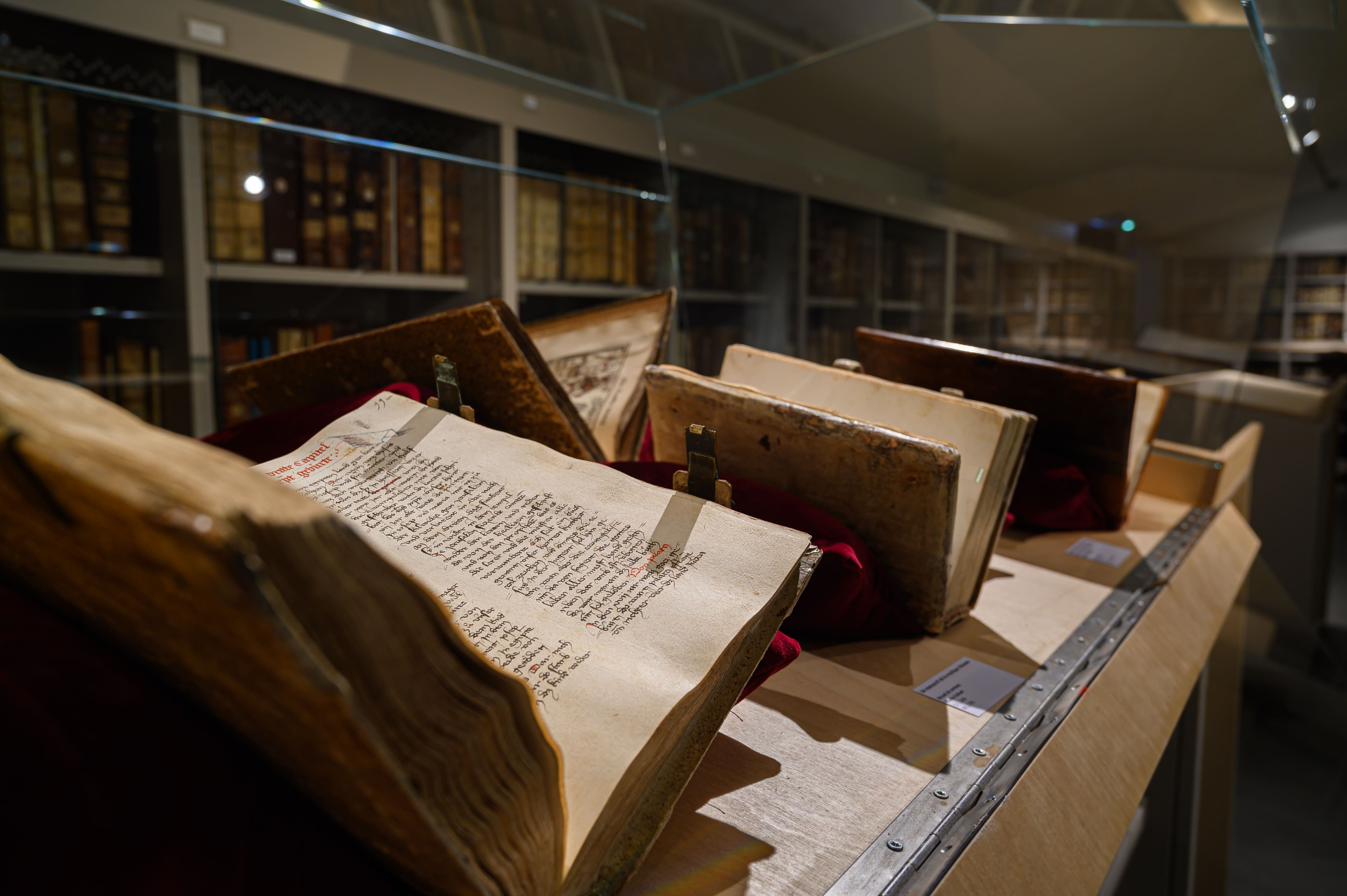 Les réserves précieuses: Manuscrits et premiers imprimés